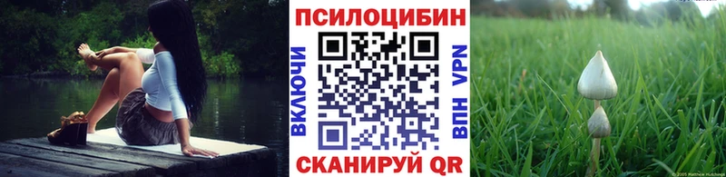 Купить где  Константиновск  Псилоцибиновые грибы Cubensis 