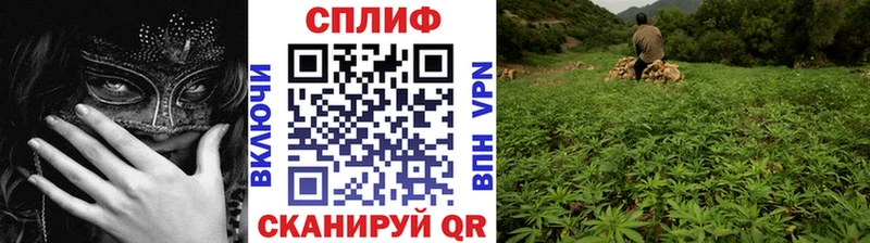 Купить где  Константиновск  Канабис план 